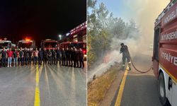 Yangına çok sayıda araç ve ekiple müdahale
