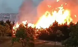 Yangın Uçağa Değil Otlara Sıçradı! İstanbul’da Havalimanında Yangın Alarmı
