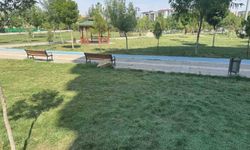 Sıcaktan fenalaşan kadın bayıldı