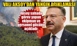 Eskişehir Valisi Aksoy'dan yangın açıklaması