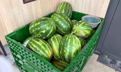 Market 12 TL, Tarla 2 TL! Karpuzda Büyük Çelişki