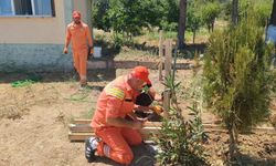 34 hükümlü ormanlara katkı sunacak