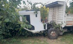Kamyonet bahçeye daldı, sürücü hayatını kaybetti
