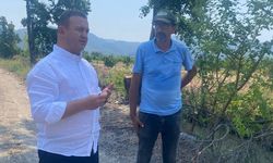 Narenciye Üreticilerine Müjde