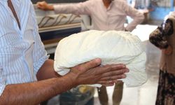 O peynirine Türkiye'nin dört bir yanından yoğun ilgi