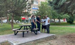 Kayınçosunu vurup kaçmıştı, teslim oldu