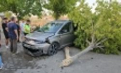 Seyir halindeki ticari araç site bahçesine girdi