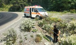 Mahsur Köpekler İçin Nefes Kesen İtfaiye Kurtarma Operasyonu