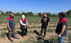 Genç çiftçiden örnek tarım uygulaması