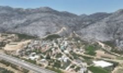Yeşil Bursa'nın yemyeşil ormanları karardı