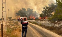 Mersin’de Orman Yangınına Jandarma Destek Verdi