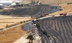 Anız yangını fabrikada korkuya neden oldu