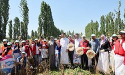 Gönüllü gençler hasat için tarım alanlarında