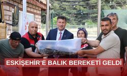 765 bin sazan balığı göletlerde