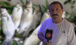 Balığın Mevsimi Yok:  "Yazın Da Taze Ve Ucuz"
