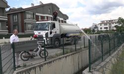 Balık ölümleri halkı tedirgin etti