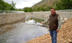 Çay siyaha büründü