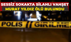 Sessiz Sokakta Silahlı Vahşet: Murat Yıldız Ölü Bulundu