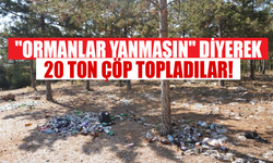 Ormandan 20 ton çöp çıktı!