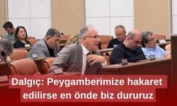 Dalgıç: Peygamberimize hakaret edilirse en önde biz dururuz