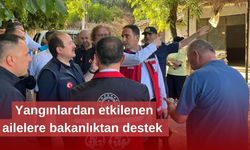 Bakan Göktaş: Yangınlardan etkilenen hanelere 12 milyon 260 bin lira kaynak aktardık