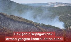 Eskişehir Seyitgazi'deki orman yangını kontrol altına alındı
