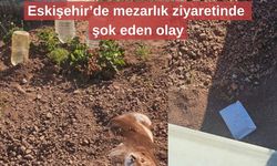 Eskişehir’de mezarlık ziyaretinde şok eden olay