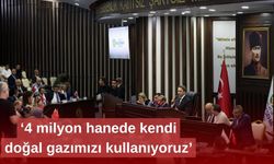 Konutlar yerli gaz ile ısınacak