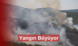 Seyitgazi’de çıkan yangın büyümeye devam ediyor