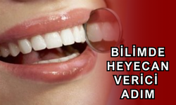 İnsanlar Dişlerini Yeniden Çıkarabilecek
