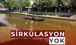 Porsuk Çayı yeşile döndü
