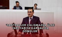 Dönmez'den termik savunması
