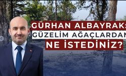'Güzelim ağaçlardan ne istediniz?'