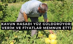 Baldan tatlı süheyla kavunu yüz güldürdü