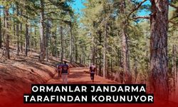 Kayseri’de ormanlar jandarma tarafından korunuyor