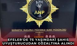 75 yaşındaki şahıs yasaklı madde bulundurmaktan gözaltına alındı