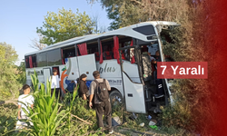 Yolcu Otobüsü Yoldan Çıkarak Ağaçlara Çarptı