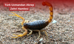 Akrep Zehri, Kanser Hastalarına Umut Oldu