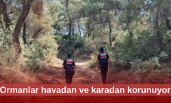 Aydın Valiliği ormanları hem karadan hem havadan koruyor