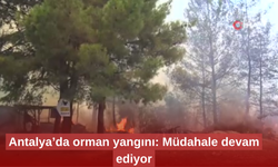 Antalya’da orman yangını: Havadan ve karadan müdahale sürüyor