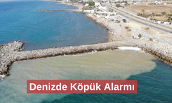 Suyun yüzeyinde oluşan beyaz tabaka tedirgin etti