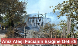 Yakılan anız ahırı yaktı, eve sıçramadan söndürüldü