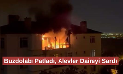 Sıcağa dayanamayan buzdolabı alev alev yandı