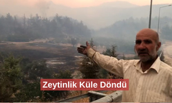 Alevler yeniden yükseldi, zeytinliği yanan köylü o anları anlattı