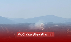 Muğla’da orman yangını