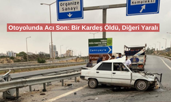 Trafik kazası: İki kardeşten biri öldü, diğeri yaralandı