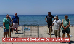 Deniz kaplumbağası yumurtalarını koruma altına aldılar