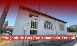 Sahibi vefat eden eve levye ile girip yerleştiler
