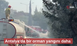 Antalya'da farklı noktada bir orman yangını daha
