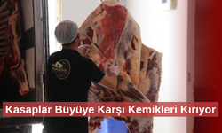 Selçuklu Geleneği: Kürek Kemiği Kırılıyor